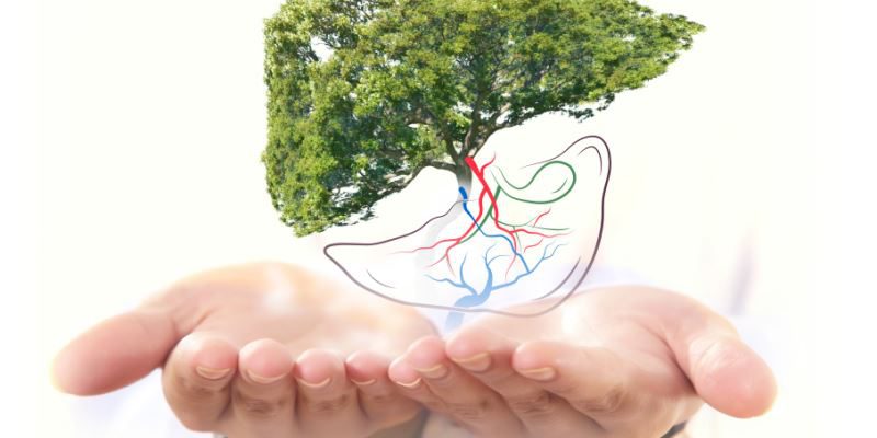 Afisa-METAMOSXEYSH-HPATOS