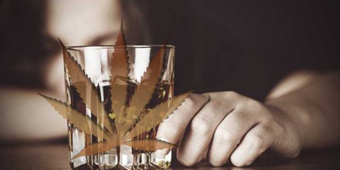 Cannabis-May-Protect-Alcohol-Users-from-Liver-Disease