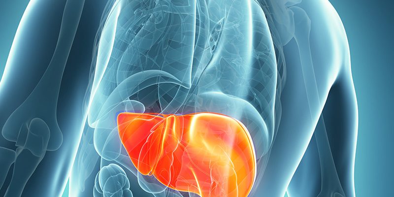 dt_140923_liver_800x600