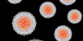 hcvg758308173_1374215