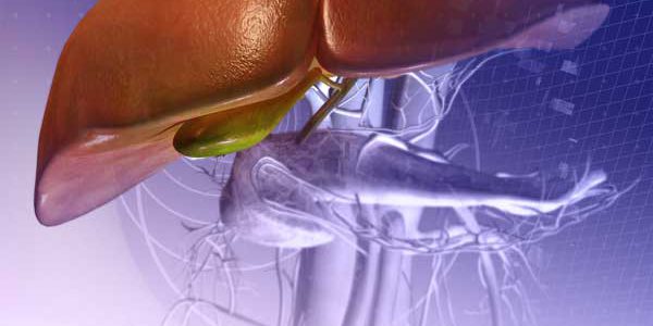 livergallbladder_031213_sm