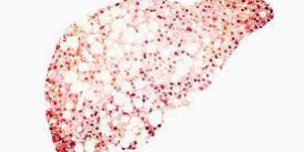 αρχείο λήψης