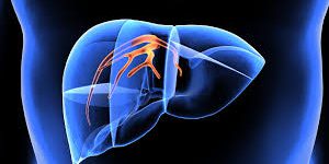 αρχείο-λήψης23