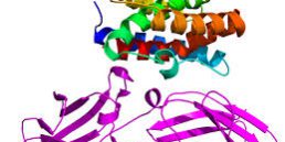 αρχείο-λήψης26